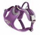 WEEKEND WARRIOR HARNESS CURRANT-MALVA 60-80 CM