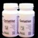 GERIATIVET  45 COMPRIMIDOS