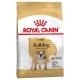 BULLDOG ADULT 3 KG