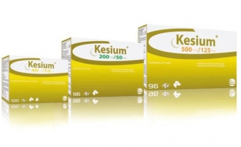 Kesium 62 5 Mg Pour Chat Posologie