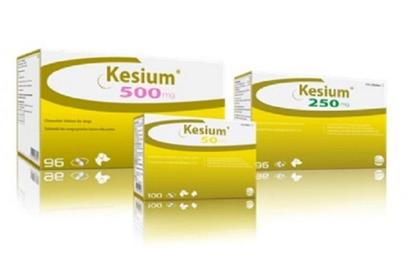 Kesium 62 5 Mg Pour Chat Posologie