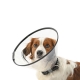 COLLAR ISABELINO BUSTER COMFORT 10 1UD