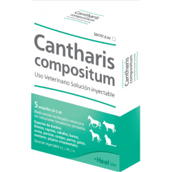 CANTHARIS COMPOSITUM 5 AMP 5ML