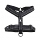 PADDED Y HARNESS BLACK-RAVEN 60