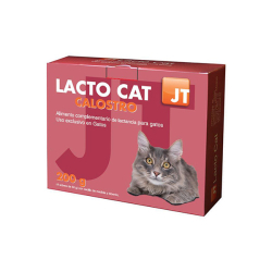 LACTO CAT 4 X 50G