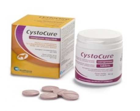 CYSTOCURE FORTE 30 COMP.