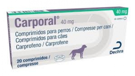 <p>Referencia del laboratorio: 045096</p>