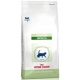 FELINE PEDIATRIC GROWTH 2 KG