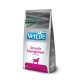 VETLIFE DOG STRUVITE MANAGEMENT 12KG