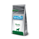 VET LIFE NATURAL DIET DOG OBESITY