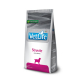 VETLIFE DOG STRUVITE 12KG