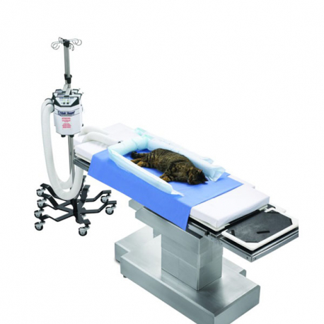 <p>Referencia del laboratorio: 53000</p>