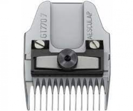 <p>Referencia del laboratorio: GT770</p>