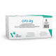 RAPID SINGLE CPV AG 5 TEST