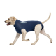 CAMISETA PROTECTORA PARA PERRO - S 43CM AZUL 1UD