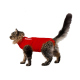 CAMISETA PROTECTORA PARA GATO - 2XS 33CM ROJA 1UD