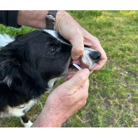 DOLEONAT 12 10-20KG 15ML