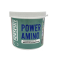 POWER AMINO 500G