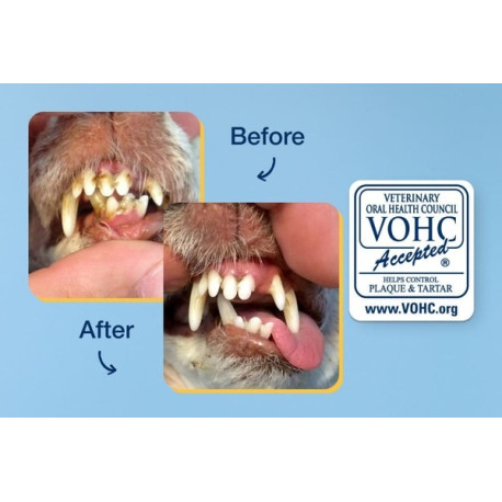 PRODEN PLAQUEOFF POLVO 40G PERRO/GATO 