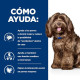 PD CANINE B/D BRAIN AGEING CARE POLLO 12KG