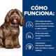PD CANINE B/D BRAIN AGEING CARE POLLO 12KG