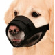 BOZAL NYLON NEGRO S 1UD 