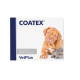 COATEX 240 CAPSULAS 