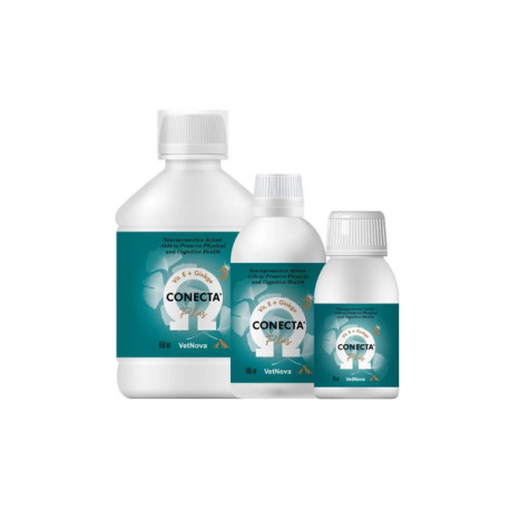 CONECTA PLUS 450 ML