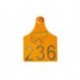 CROTAL BIGPLUS HEMBRA AMARILLO CON INSCRIPCION 1UD
