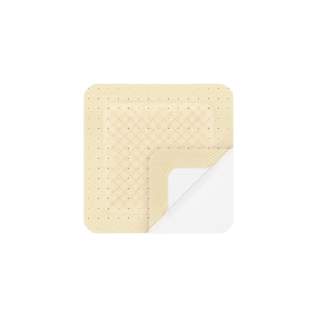 <p>Référence de laboratoire : 5397510</p>