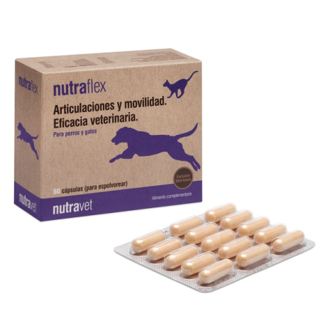 <p>Referencia del laboratorio:NT0001</p>