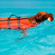 RETTUNGSWESTE FÜR HUND 25 CM
