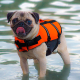 CHALECO SALVAVIDAS PARA PERROS 30 CM