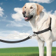 EASY WALK ARNES GRANDE NEGRO