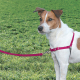 EASY WALK ARNES EXTRA GRANDE ROJO
