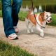 EASY WALK RONZAL GRANDE NEGRO