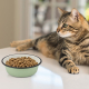 COMEDERO INOX CAT SHADOW 290ml