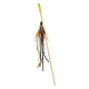VARA CON PLUMA 45CM  U.M.V 3uds