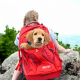 KURGO MOCHILA G-TRAIN K9 ROJO 33x25,4x53CM