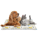 COOL MAT GEL SUMMER DOG 50x40cm