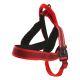 ARNES X-TRM PRO
