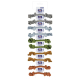 RISTRA CUERDA DENTAL LISA 18cm-35gr UMV 10uds