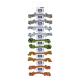 RISTRA CUERDA DENTAL LISA 35cm-245gr UMV 10uds