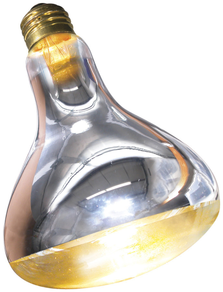 <p>Référence du laboratoire :</p>