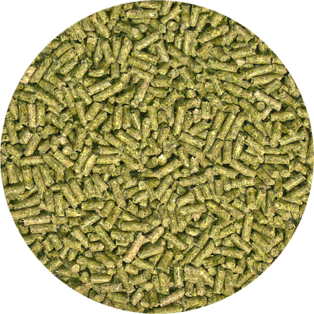 <p>Laboratory reference: </p>