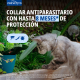 PREVEXTO 1,25 G + 0,56 G GATOS 38CM 1 COLLAR