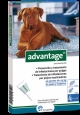 ADVANTAGE 400 PERRO 4 PIPETAS